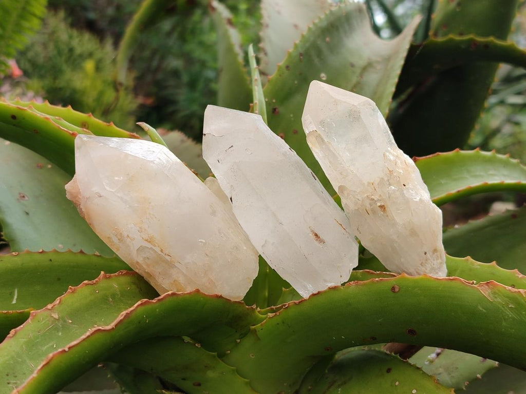 Natural Mix Of Clear Quartz Crystals x 12 From Madagascar - Toprock Gemstones and Minerals 