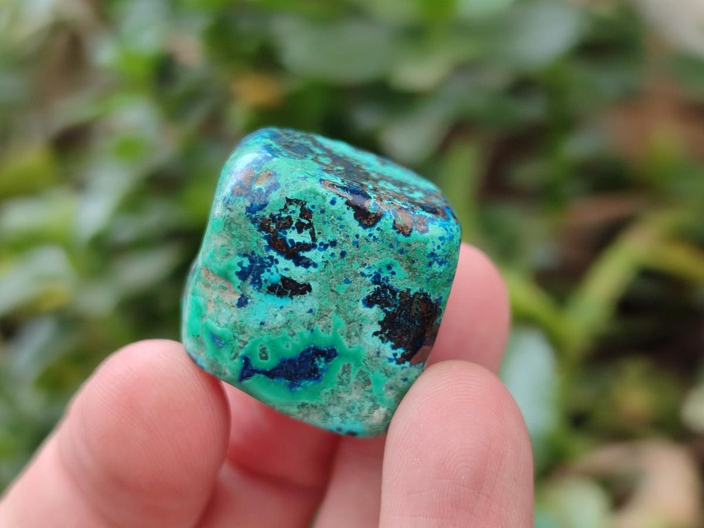 Polished Shattuckite Free Forms x 70 From Congo - Toprock Gemstones and Minerals 