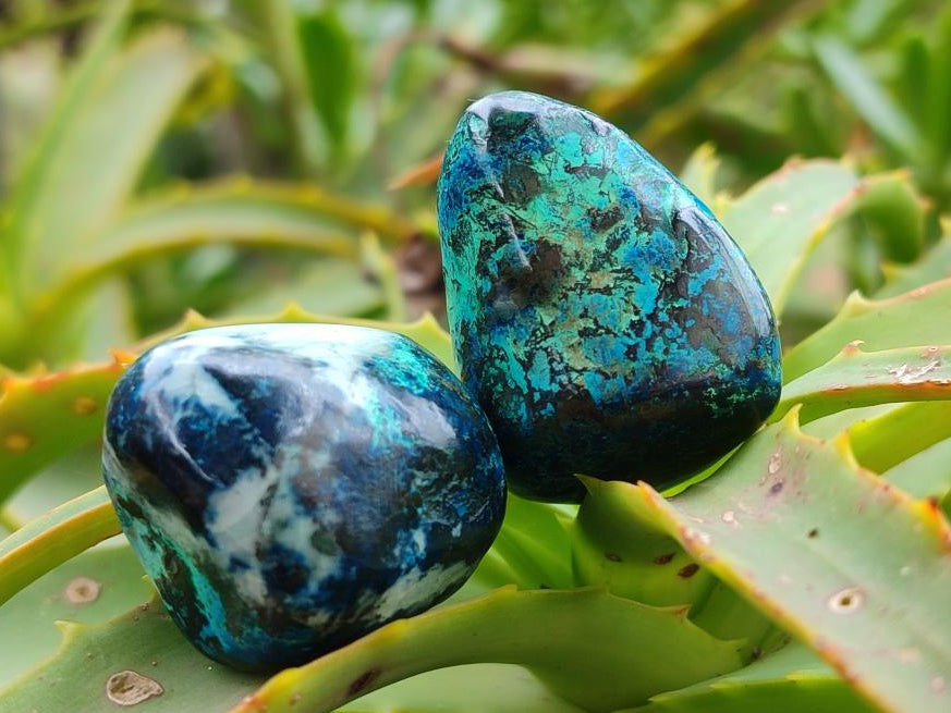 Polished Shattuckite Free Forms x 70 From Congo