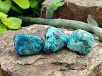 Polished Shattuckite Free Forms x 70 From Congo