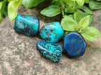 Polished Shattuckite Free Forms x 70 From Congo - Toprock Gemstones and Minerals 