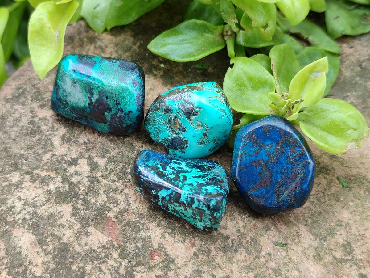 Polished Shattuckite Free Forms x 70 From Congo - Toprock Gemstones and Minerals 