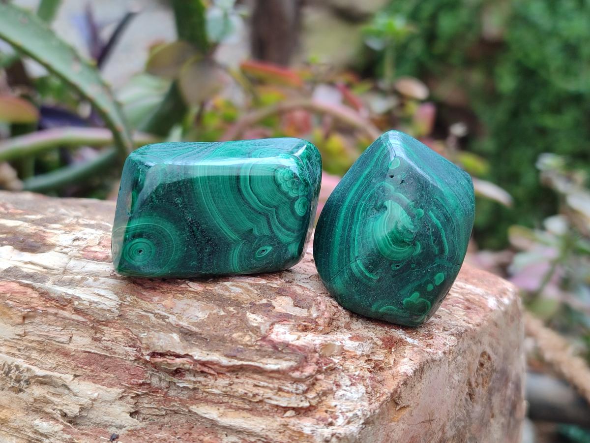 Polished Flower Banded Malachite Free Forms x 26 From Congo - Toprock Gemstones and Minerals 