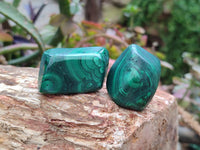 Polished Flower Banded Malachite Free Forms x 26 From Congo