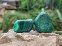 Polished Flower Banded Malachite Free Forms x 26 From Congo