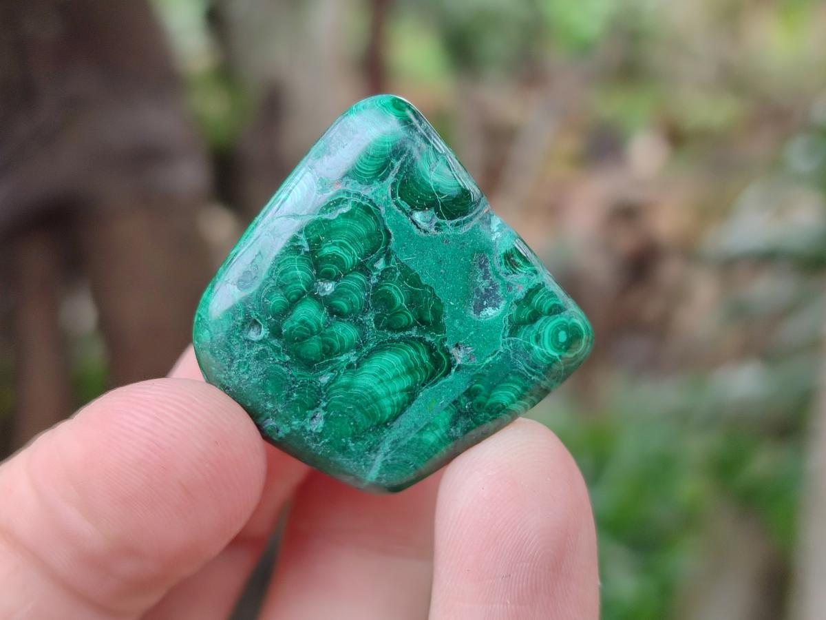 Polished Flower Banded Malachite Free Forms x 26 From Congo - Toprock Gemstones and Minerals 