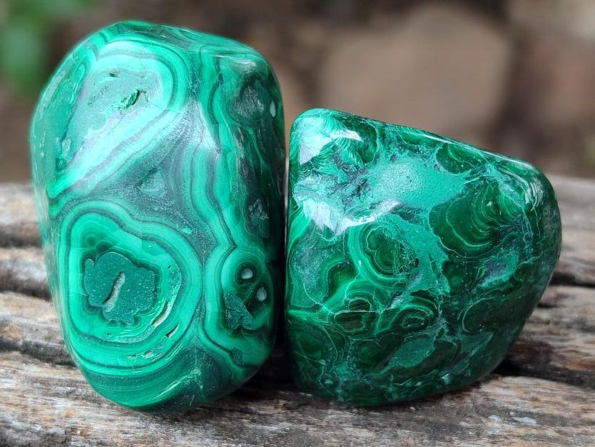 Polished Flower Banded Malachite Free Forms x 26 From Congo