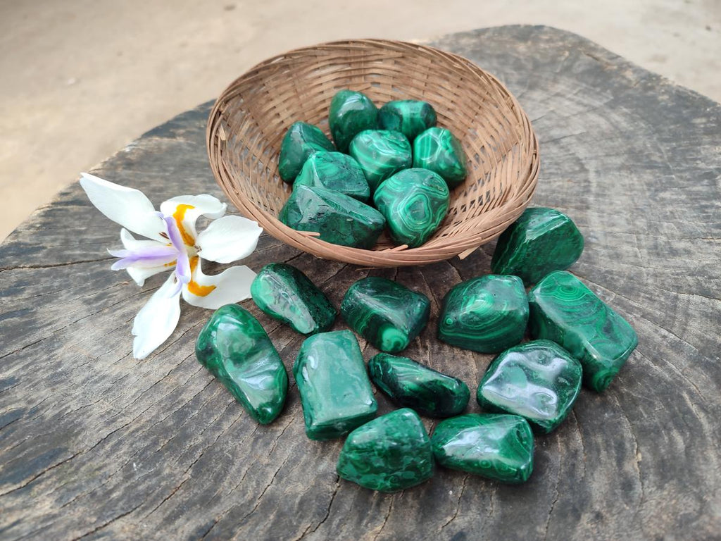 Polished Flower Banded Malachite Free Forms x 26 From Congo - Toprock Gemstones and Minerals 