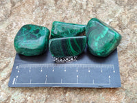 Polished Flower Banded Malachite Free Forms x 26 From Congo