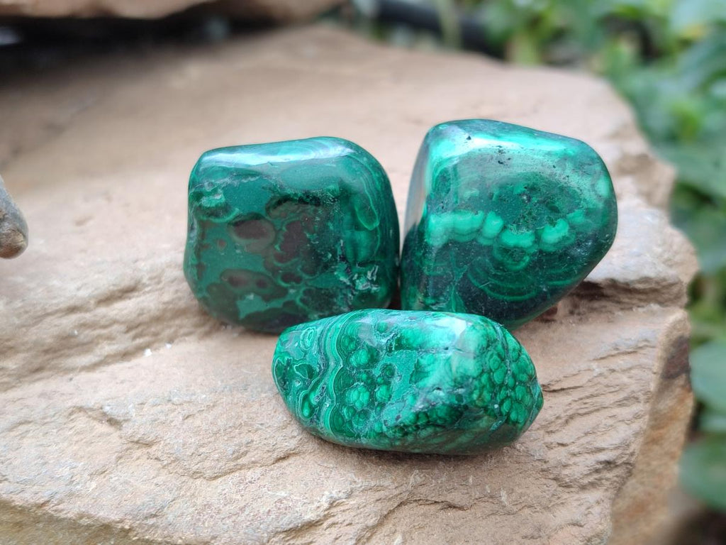 Polished Flower Banded Malachite Free Forms x 26 From Congo - Toprock Gemstones and Minerals 