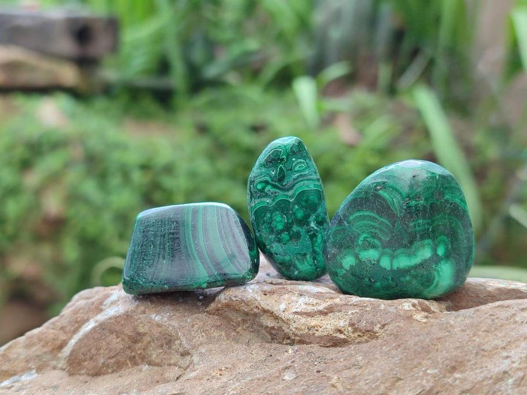 Polished Flower Banded Malachite Free Forms x 26 From Congo - Toprock Gemstones and Minerals 