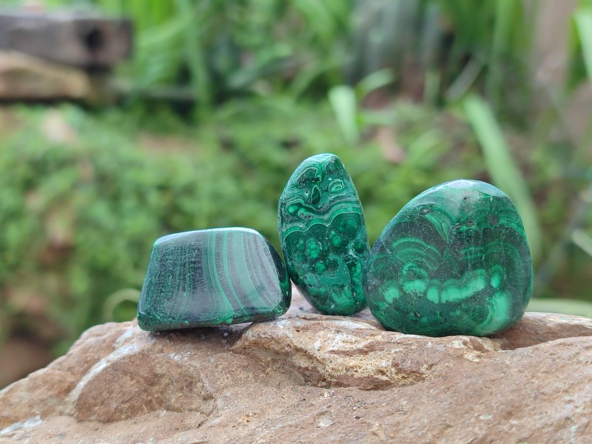 Polished Flower Banded Malachite Free Forms x 26 From Congo - Toprock Gemstones and Minerals 