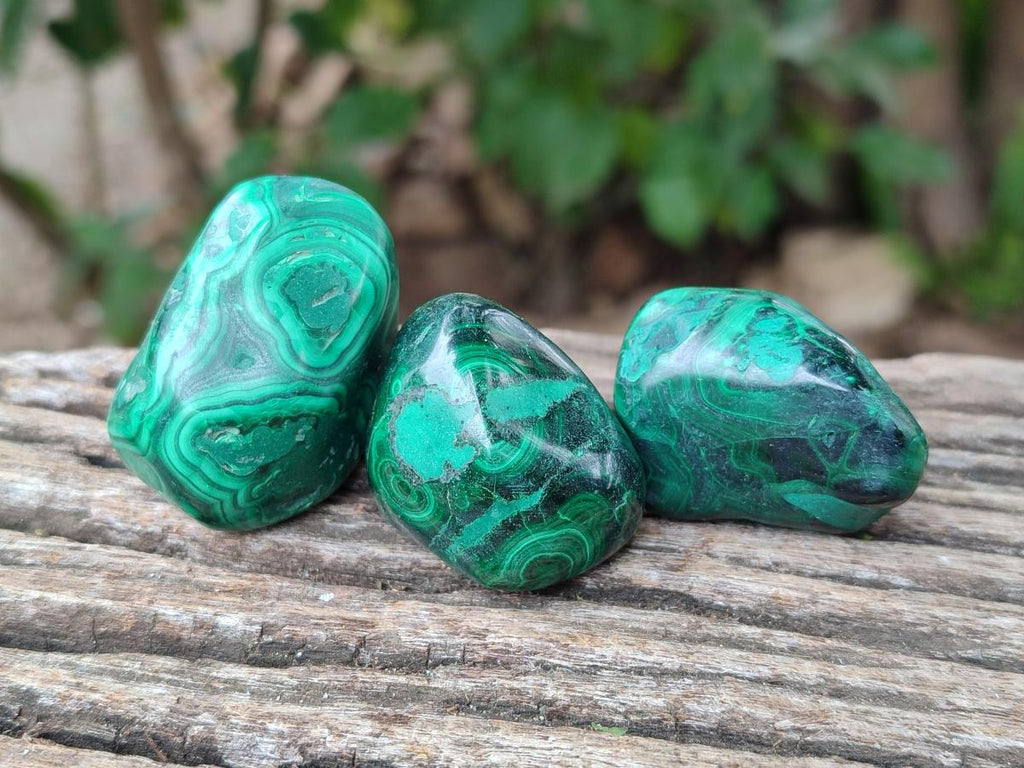 Polished Flower Banded Malachite Free Forms x 26 From Congo - Toprock Gemstones and Minerals 