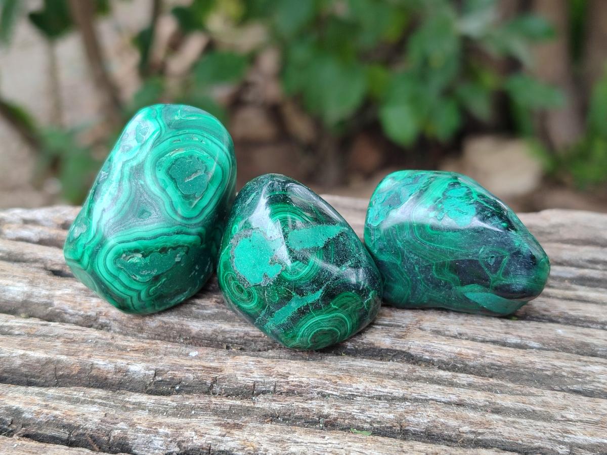 Polished Flower Banded Malachite Free Forms x 26 From Congo - Toprock Gemstones and Minerals 