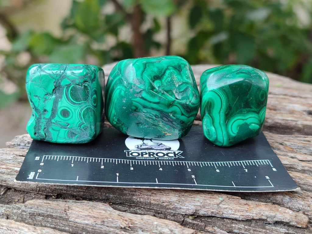 Polished Flower Banded Malachite Free Forms x 26 From Congo - Toprock Gemstones and Minerals 