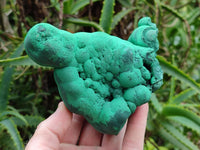 Natural Botryoidal Malachite Specimens x 2 From Congo