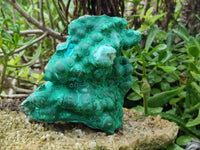 Natural Botryoidal Malachite Specimens x 2 From Congo