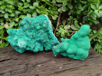 Natural Botryoidal Malachite Specimens x 2 From Congo
