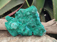 Natural Botryoidal Malachite Specimens x 2 From Congo