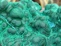 Natural Botryoidal Malachite Specimens x 2 From Congo