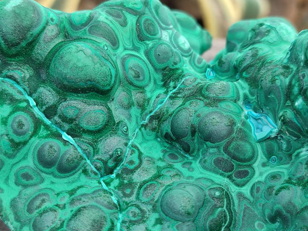 Natural Botryoidal Malachite Specimens x 2 From Congo