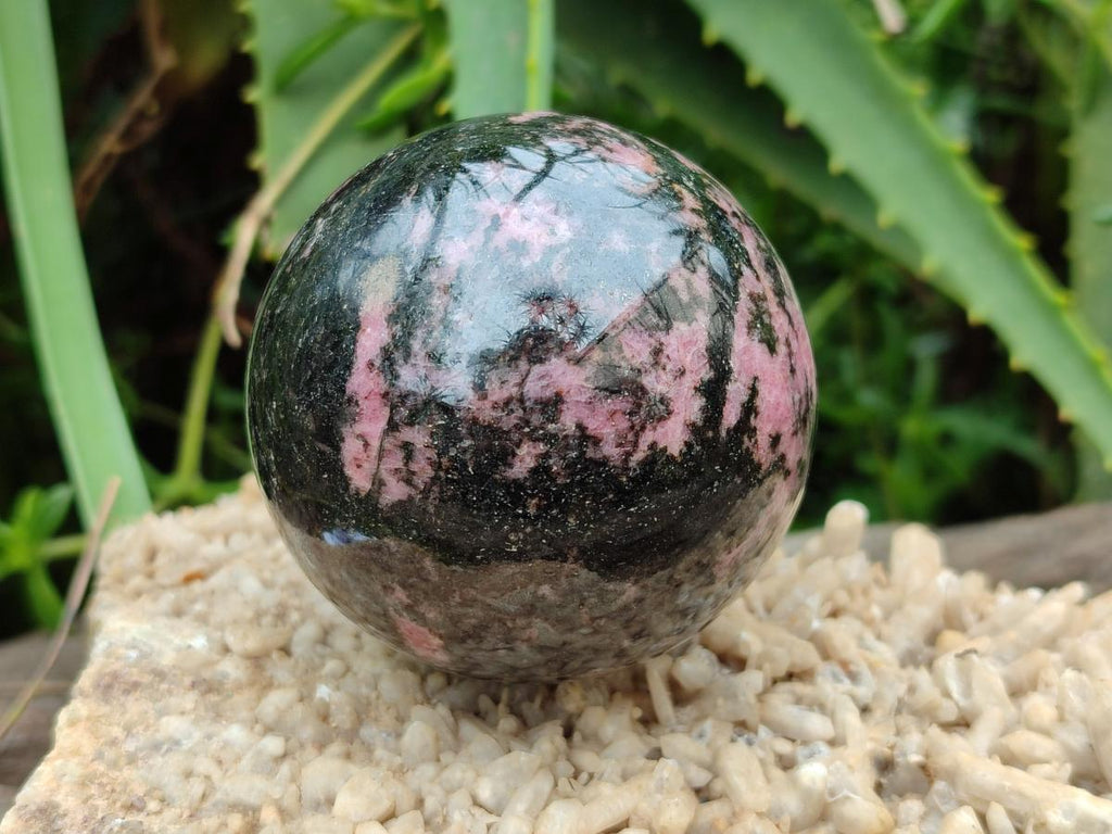 Polished Rhodonite Spheres x 4 From Ambindavato, Madagascar