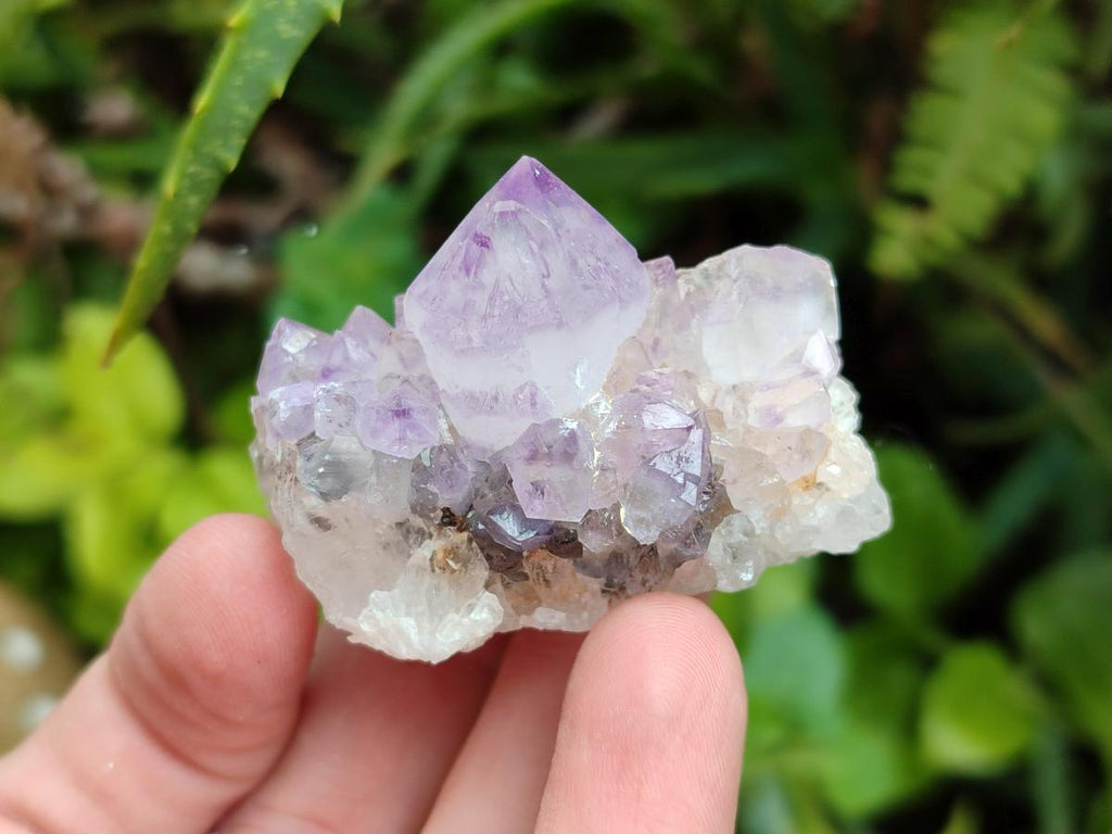 Natural Sunburst Amethyst Spirit Crystals x 20 From Boekenhouthoek, South Africa