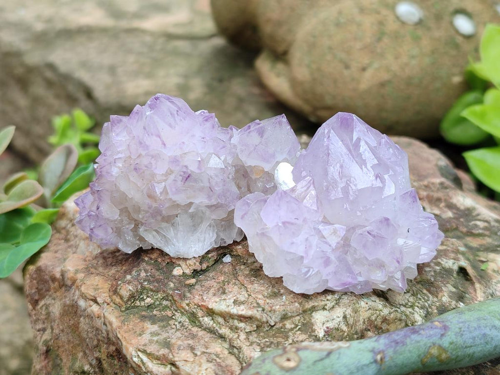 Natural Sunburst Amethyst Spirit Crystals x 20 From Boekenhouthoek, South Africa