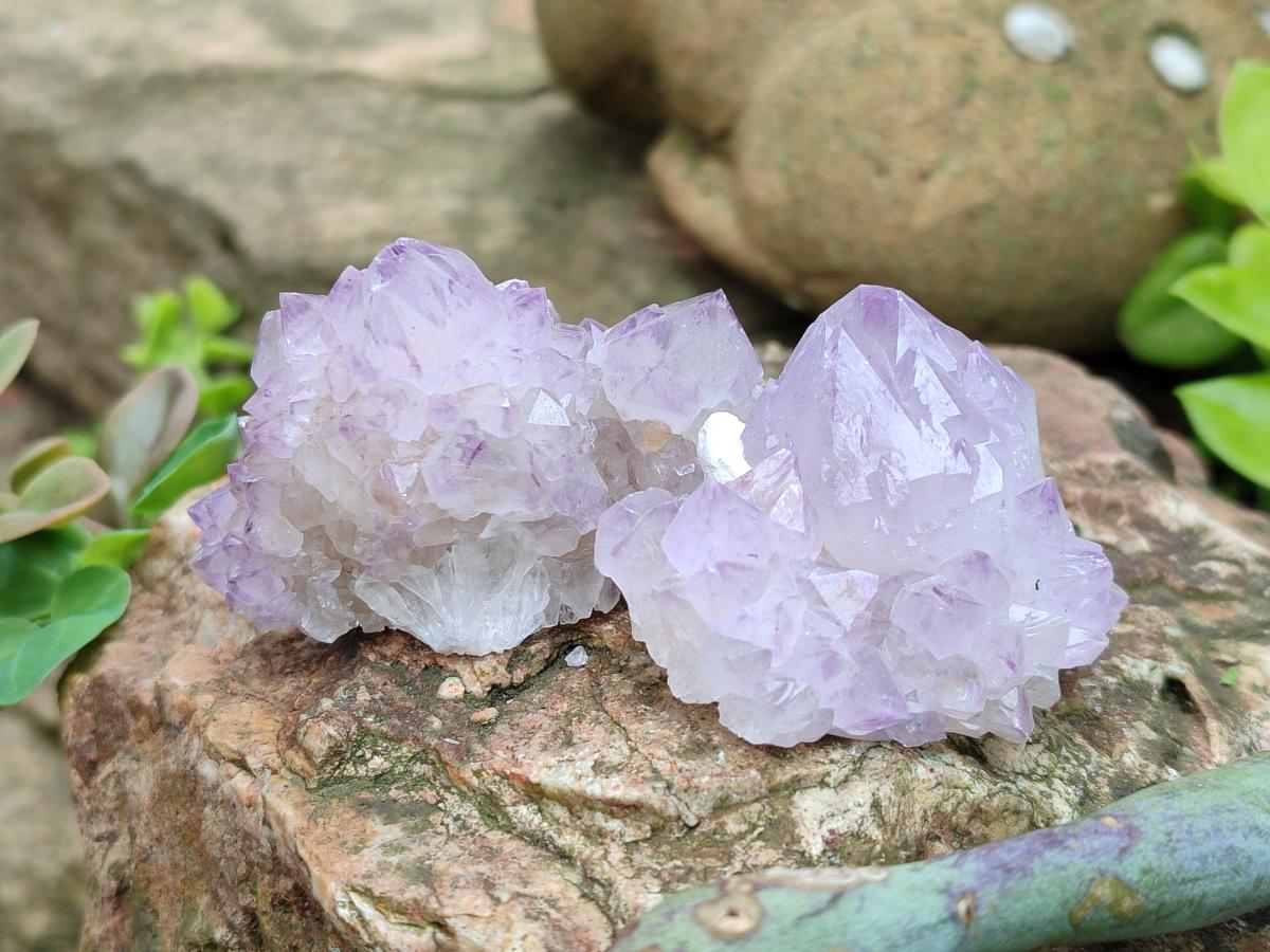 Natural Sunburst Amethyst Spirit Crystals x 20 From Boekenhouthoek, South Africa