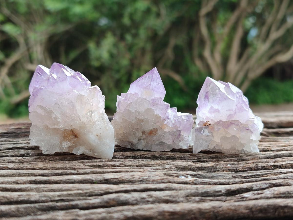 Natural Sunburst Amethyst Spirit Crystals x 20 From Boekenhouthoek, South Africa