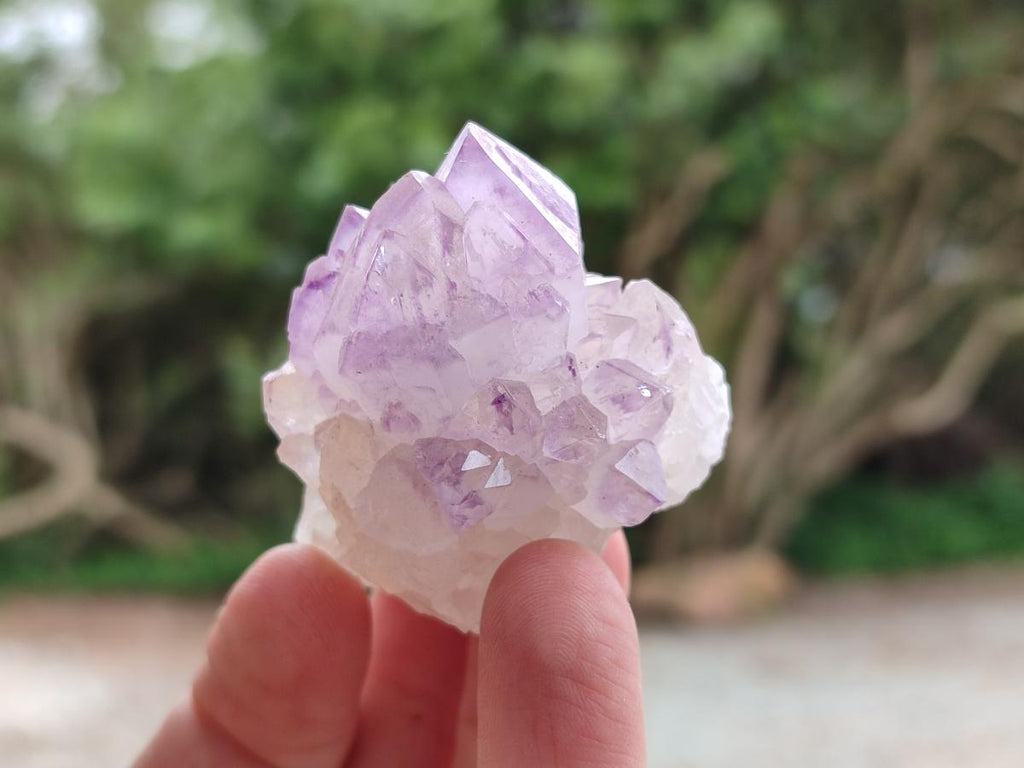 Natural Sunburst Amethyst Spirit Crystals x 20 From Boekenhouthoek, South Africa