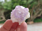 Natural Sunburst Amethyst Spirit Crystals x 20 From Boekenhouthoek, South Africa