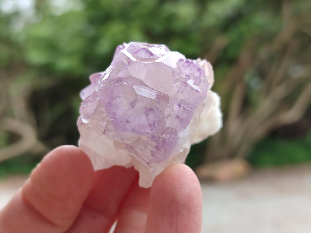 Natural Sunburst Amethyst Spirit Crystals x 20 From Boekenhouthoek, South Africa