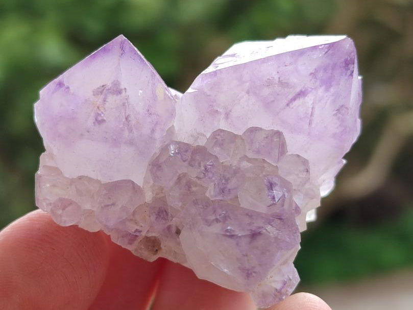 Natural Sunburst Amethyst Spirit Crystals x 20 From Boekenhouthoek, South Africa