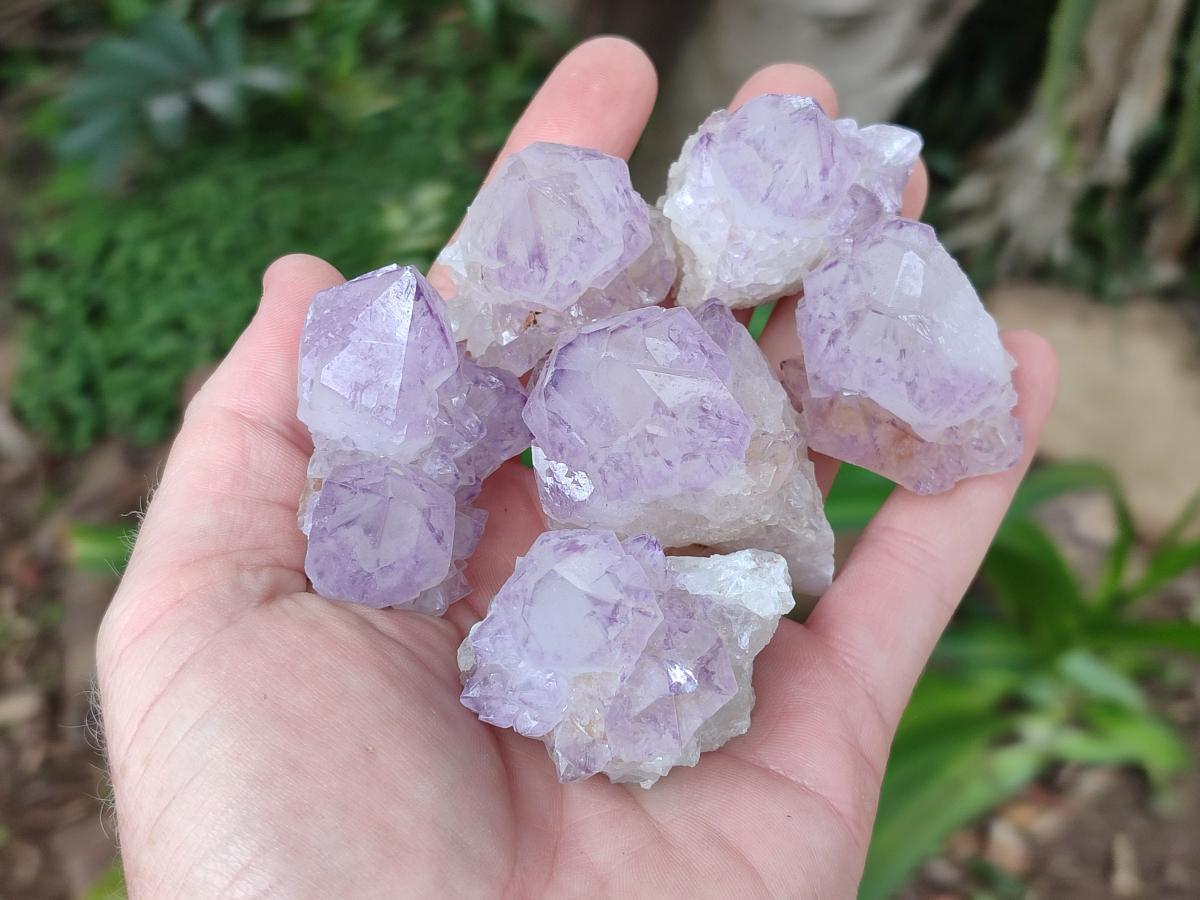 Natural Sunburst Amethyst Spirit Crystals x 20 From Boekenhouthoek, South Africa