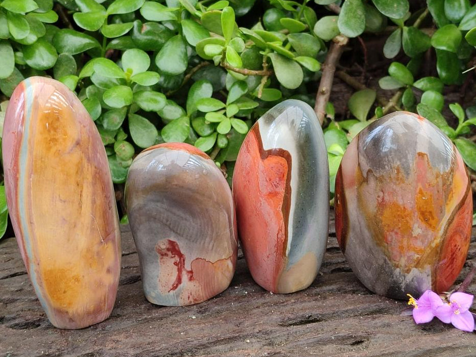 Polished Polychrome Jasper Standing Free Forms x 4 From NW Coast, Madagascar
