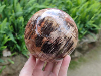 Polished XL Red Podocarpus Petrified Wood Sphere x 1 From Mahajanga, Madagascar