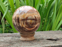 Polished XL Red Podocarpus Petrified Wood Sphere x 1 From Mahajanga, Madagascar