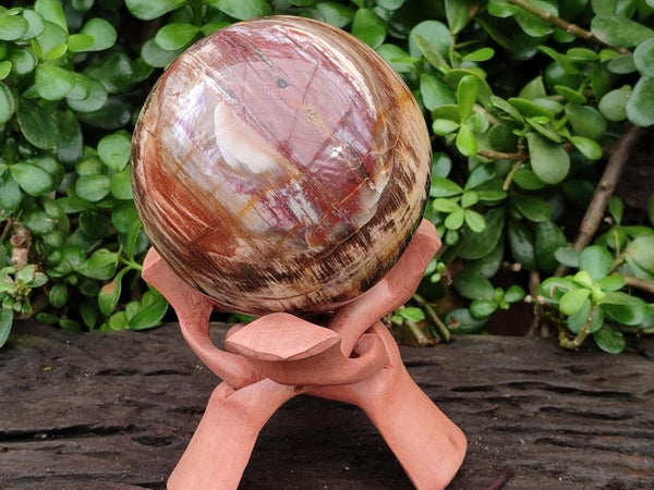 Polished XL Red Podocarpus Petrified Wood Sphere x 1 From Mahajanga, Madagascar