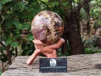 Polished XL Red Podocarpus Petrified Wood Sphere x 1 From Mahajanga, Madagascar