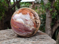 Polished XL Red Podocarpus Petrified Wood Sphere x 1 From Mahajanga, Madagascar
