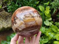 Polished XL Red Podocarpus Petrified Wood Sphere x 1 From Mahajanga, Madagascar