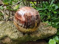 Polished XL Red Podocarpus Petrified Wood Sphere x 1 From Mahajanga, Madagascar