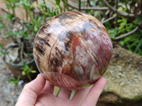 Polished XL Red Podocarpus Petrified Wood Sphere x 1 From Mahajanga, Madagascar