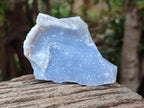 Natural Etched Blue Chalcedony Specimens x 12 From Nsanje, Malawi