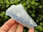 Natural Etched Blue Chalcedony Specimens x 12 From Nsanje, Malawi
