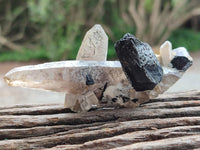 Natural Smokey Quartz With Schorl Black Tourmaline Specimens x 5 From Erongo, Namibia