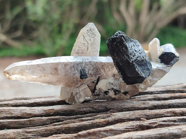 Natural Smokey Quartz With Schorl Black Tourmaline Specimens x 5 From Erongo, Namibia
