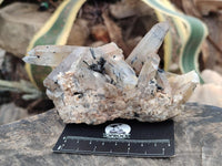 Natural Smokey Quartz With Schorl Black Tourmaline Specimens x 5 From Erongo, Namibia