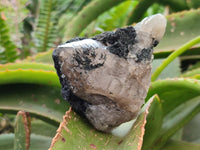 Natural Smokey Quartz With Schorl Black Tourmaline Specimens x 5 From Erongo, Namibia